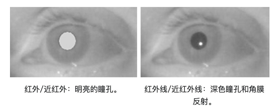 image-20200713094452991