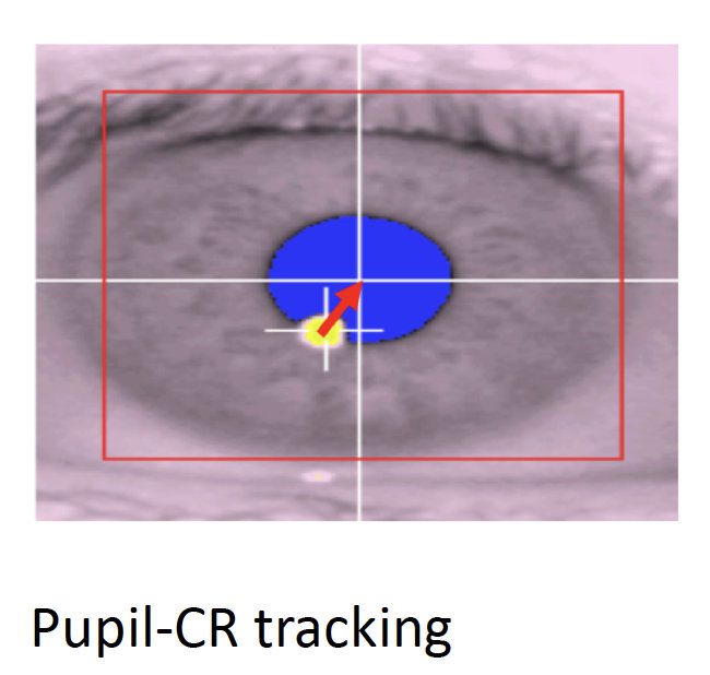 image-20200713095208421